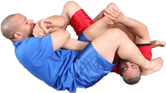 Armbar Finish